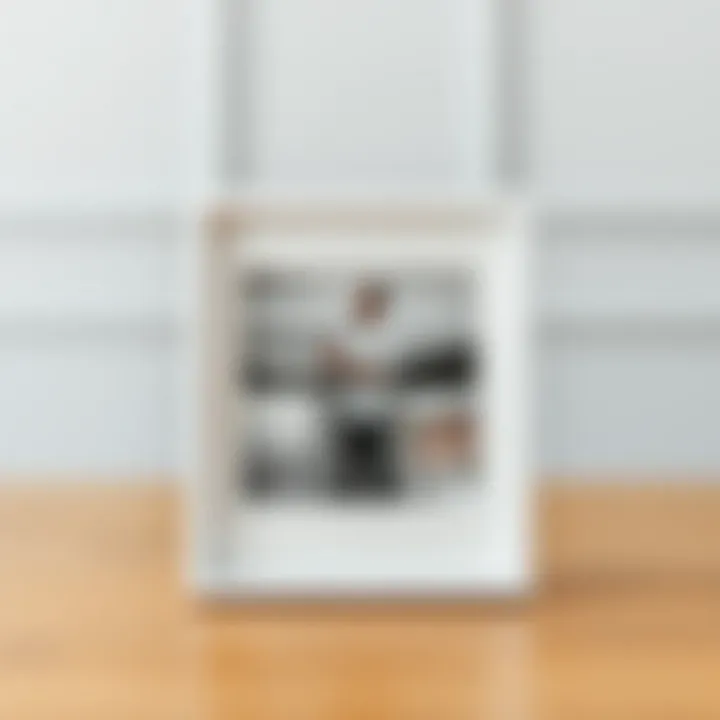 Modern Artistic Trends in Frame Design Innovative design of a 4x6 collage frame, illustrating modern artistic trends.