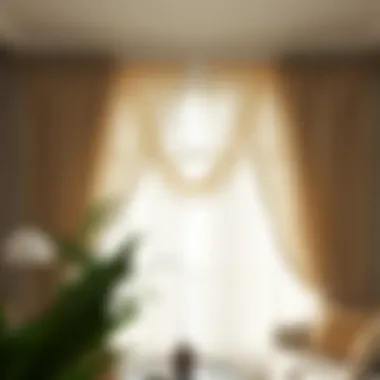 Magnificent Examining Walmart Sheer Valances: An In-Depth Perspective
