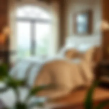 Magnificent Exploring the Best Comforter Sets Magnificent Exploring the Best Comforter Sets