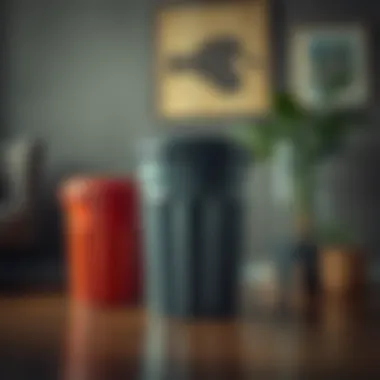 Magnificent Exploring the Utility and Design of Five-Gallon Trash Cans