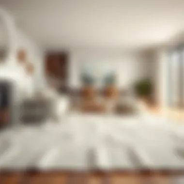 Magnificent Exploring the White Jute Area Rug: A Multifaceted Perspective Magnificent Exploring the White Jute Area Rug: A Multifaceted Perspective