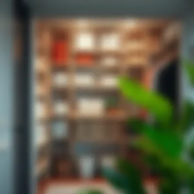 Magnificent Optimizing Your Linen Closet with Functional Shelving Solutions Magnificent Optimizing Your Linen Closet with Functional Shelving Solutions