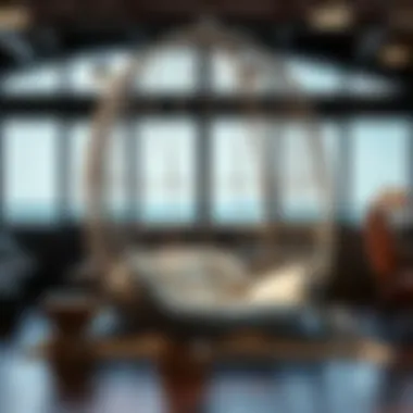 Magnificent The Market for Used Hanging Chairs: A Comprehensive Guide