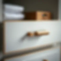 An In-Depth Exploration of Closet Drawer Handles Introduction