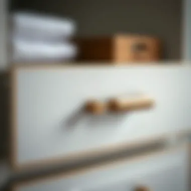 An In-Depth Exploration of Closet Drawer Handles Introduction