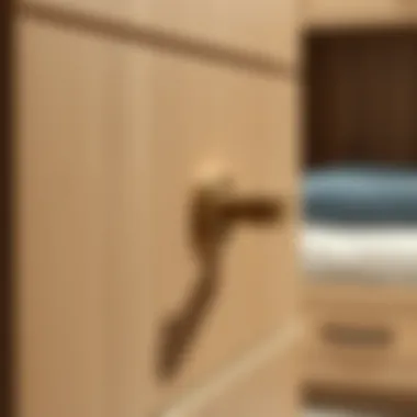 An In-Depth Exploration of Closet Drawer Handles Summary An In-Depth Exploration of Closet Drawer Handles Summary