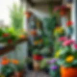 Vibrant balcony garden filled with various plants and flowers