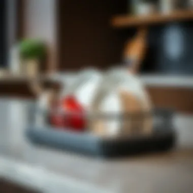 Close-up of a collapsible dish drainer showcasing innovative design features