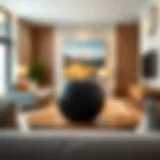 Elegant reusable ball cup showcased in a modern living room setting
