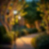 Modern outdoor LED pole lamp illuminating a garden pathway