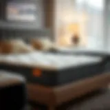 Different types of double mattresses showcasing various materials