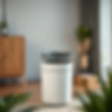 Sustainability in Home Waste Management Eco-friendly features of a modern trash can