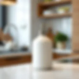 Sleek ceramic soap dispenser in a modern kitchen setting