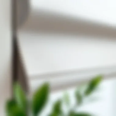 Close-up of high-quality blind materials