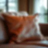 Luxurious brown leather cushion on a modern sofa