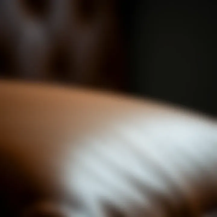 Close-up view of the texture of brown leather cushion