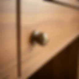 Elegant drawer pull showcasing single screw design
