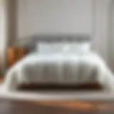 Exploring Extra Fluffy Comforter Sets: A Comprehensive Guide Introduction