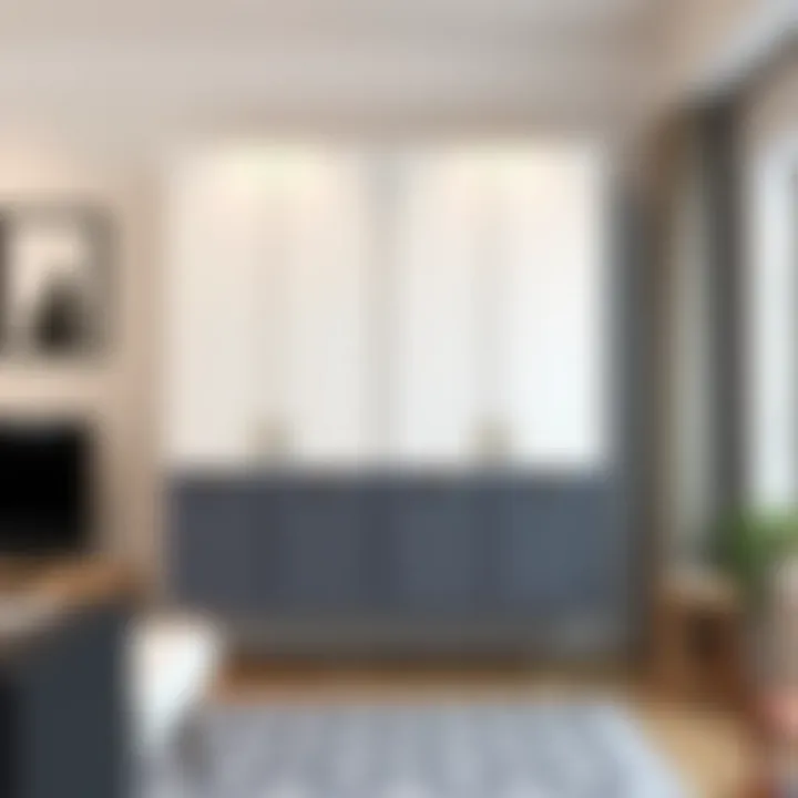 Exploring Plastic Wall Mounted Storage Cabinets: A Comprehensive Guide Summary