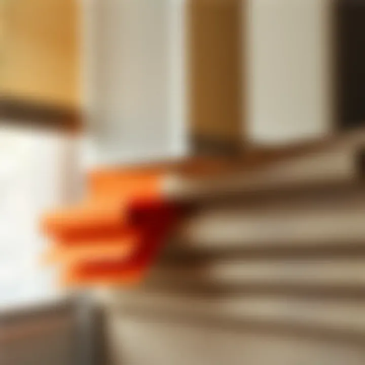 Diverse Styles of PVC Roller Shades Close-up view of various PVC roller shade styles and textures