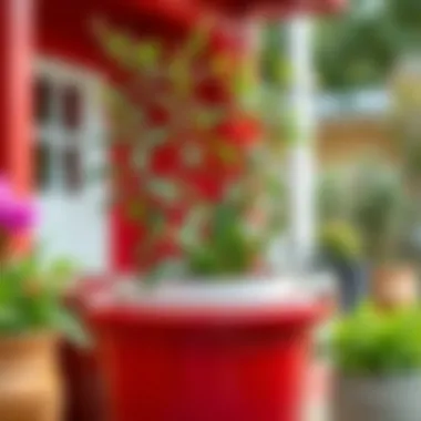 Exploring Red Shed Planters: A Comprehensive Guide Summary