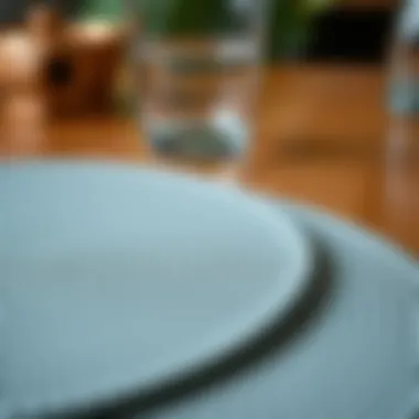 Close-up of textured round plastic placemat showcasing design