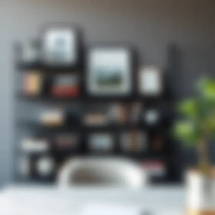 Creative arrangement of books and art on slim black shelves