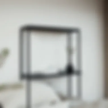 A sleek slim black shelf showcasing minimalist decor