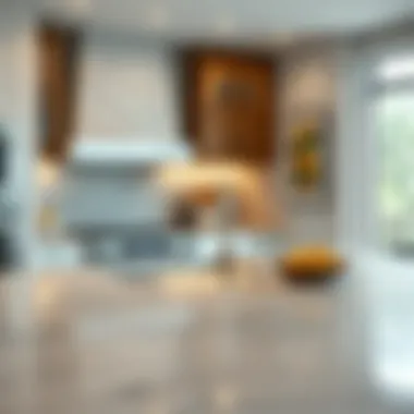 Exploring Stone Kitchen Countertops: A Comprehensive Guide Summary Exploring Stone Kitchen Countertops: A Comprehensive Guide Summary