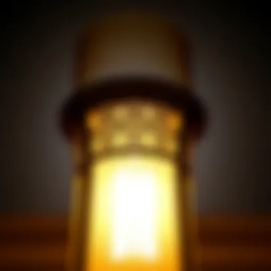 A close-up view of a tall cylindrical lamp shade showcasing intricate design details