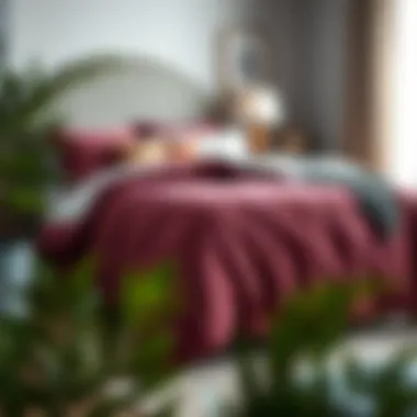 Exploring the Best Comforter Sets Summary Exploring the Best Comforter Sets Summary
