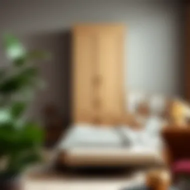 Notable Exploring the Functional and Aesthetic Value of a Tall Bedroom Cabinet Notable Exploring the Functional and Aesthetic Value of a Tall Bedroom Cabinet