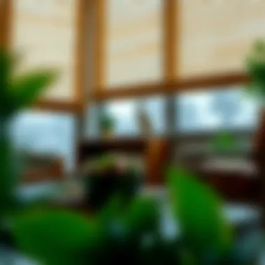 Exploring the Versatility of 72 Inch Bamboo Shades Summary