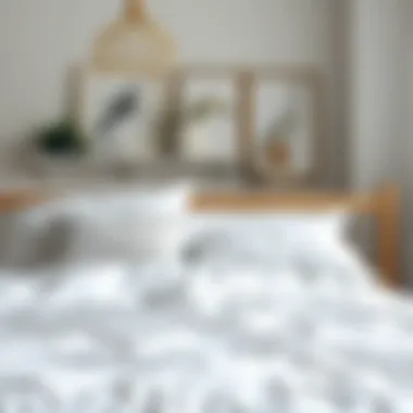 Notable Exploring the Versatility of Cheap White Flat Sheets