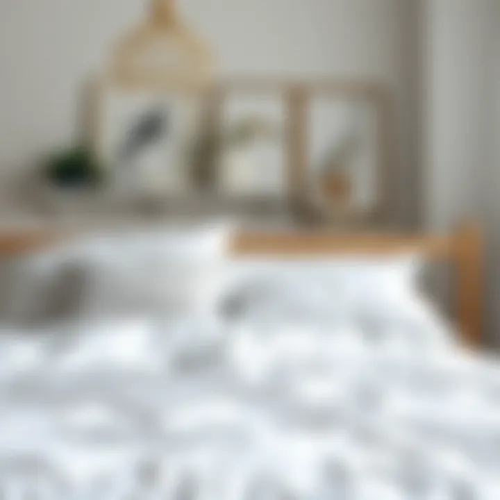 Notable Exploring the Versatility of Cheap White Flat Sheets