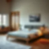 Exploring the World of Floor Bedframes Introduction
