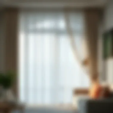 Notable Exploring the World of Sheer Curtains Notable Exploring the World of Sheer Curtains