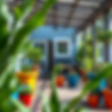 Beautiful outdoor patio adorned with colorful 10-gallon plant pots enhancing the space