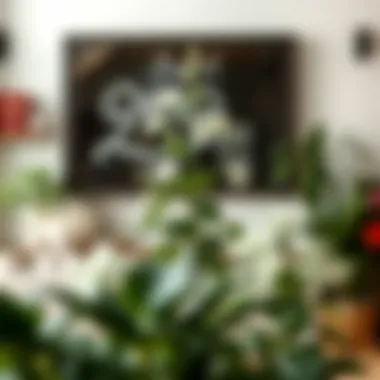 Exploring White Flower House Plants: A Comprehensive Guide Summary