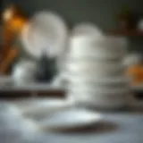 Exploring White Oven Proof Plates: Design, Functionality, and Practical Insights Introduction