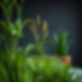 Faux Grass in Planters: A Comprehensive Guide Introduction