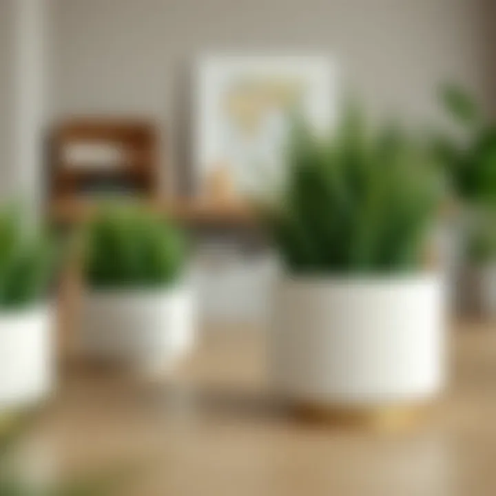 Faux Grass in Planters: A Comprehensive Guide Summary