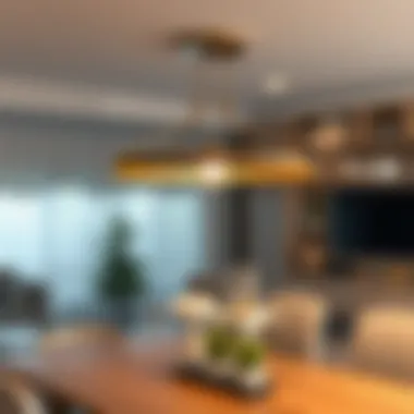 Notable Illuminating Choices: Ceiling Lights for the Dining Room