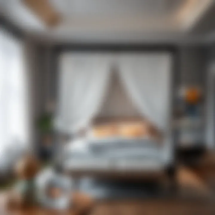 Stylish bedroom featuring a canopy bed with white sheer curtains and modern decor