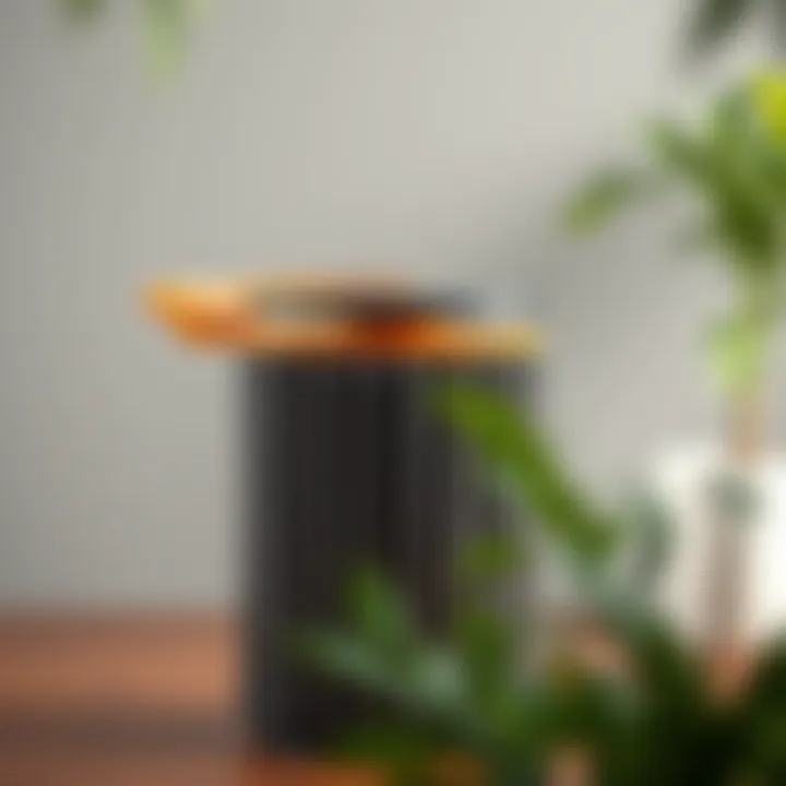 Materials That Matter Innovative materials used in contemporary trash can design