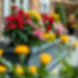 Elegant long outdoor planter box filled with vibrant flowers