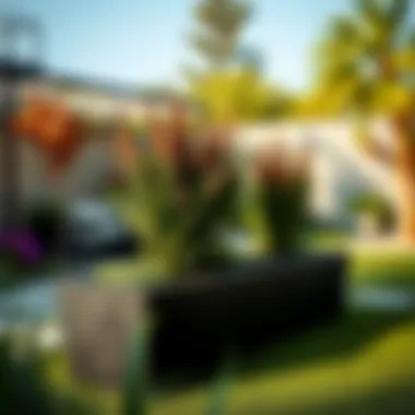 Modern Long Planter Box in a Garden Modern long planter box in a stylish garden setting