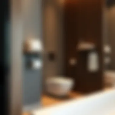 Notable Optimizing Space: The Functionality of Wall Mounted Toilet Paper Shelves