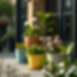 Outdoor Flower Pot Sets: A Comprehensive Guide to Enhancing Your Outdoor Space Introduction