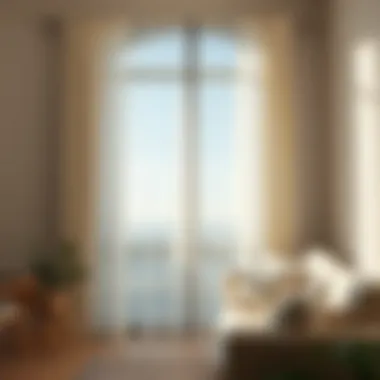 Enhancing Light with Sheer Curtains Sheer curtains enhancing natural light in a bright room